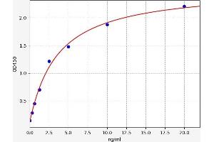 PPP1CA ELISA 试剂盒