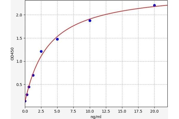 PPP1CA ELISA 试剂盒