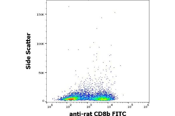 CD8B 抗体  (FITC)