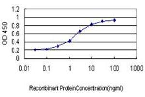 ELISA image for anti-Ubiquitin-Conjugating Enzyme E2C (UBE2C) (AA 70-179) antibody (ABIN564800)