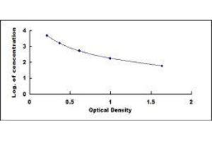 ELISA image for beta-Crosslaps (bCTx) ELISA Kit (ABIN416117) (beta-Crosslaps (bCTx) ELISA 试剂盒)