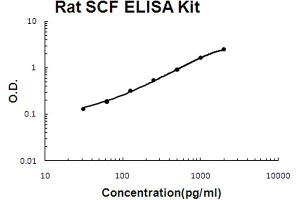 Rat SCF Accusignal ELISA Kit Rat SCF AccuSignal ELISA Kit standard curve. (KIT Ligand ELISA 试剂盒)