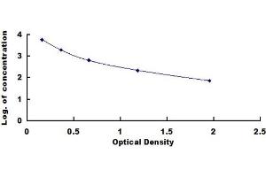 ELISA image for Reverse Triiodothyronine T3 (rT3) ELISA Kit (ABIN415134) (rT3 ELISA 试剂盒)