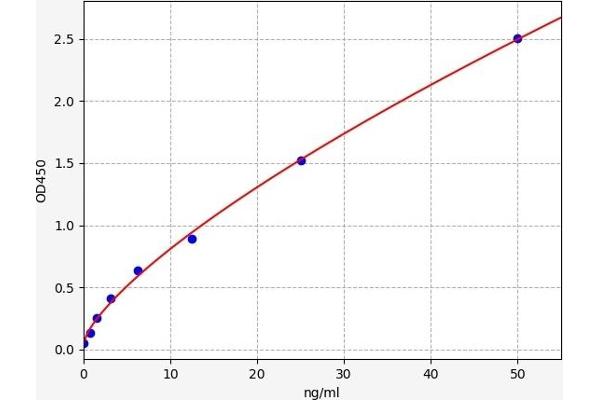 Arylsulfatase D ELISA 试剂盒