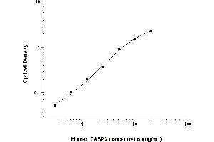 Typical standard curve (Caspase 3 ELISA 试剂盒)