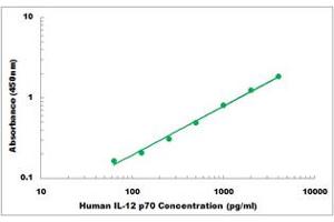 Representative Standard Curve (IL12 ELISA 试剂盒)