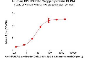 ELISA plate pre-coated by 2 μg/mL (100 μL/well) Human F Protein, hFc Tag(ABIN6964188, ABIN7042635 and ABIN7042636) can bind Anti-F antibody, IgG1 Chimeric mAb in a linear range of 0. (FOLR2 Protein (AA 17-228) (Fc Tag))