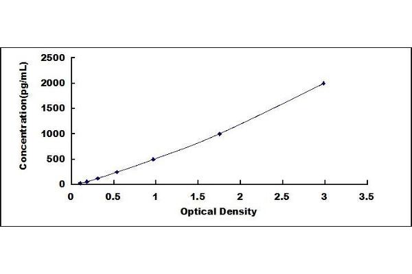 CNTF Receptor alpha ELISA 试剂盒