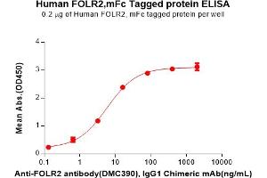 ELISA plate pre-coated by 2 μg/mL (100 μL/well) Human F Protein, mFc Tag(ABIN7092685, ABIN7272160 and ABIN7272161) can bind Anti-F antibody, IgG1 Chimeric mAb in a linear range of 0. (FOLR2 Protein (AA 17-228) (mFc Tag))