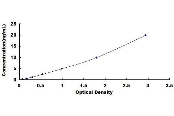 Integrin beta 4 ELISA 试剂盒