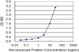 Sandwich ELISA detection sensitivity ranging from 1 ng/mL to 100 ng/mL. (CD3E (人) Matched Antibody Pair)