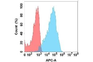 Flow cytometry analysis with Anti-C on Expi293 cells transfected with human C (Blue histogram) or Expi293 transfected with irrelevant protein (Red histogram). (CXCR7 抗体)