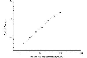 Ferritin ELISA 试剂盒