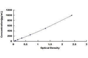 Typical standard curve (IL12A ELISA 试剂盒)