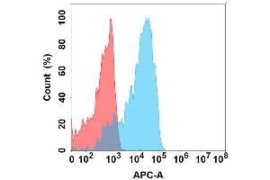 Flow cytometry analysis with Anti-GP6 on Expi293 cells transfected with human GP6 (Blue histogram) or Expi293 transfected with irrelevant protein (Red histogram). (GP6 抗体)