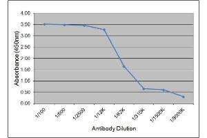 ELISA image for anti-Luteinizing Hormone (LH) antibody (ABIN2475368) (Luteinizing Hormone 抗体)