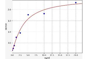 Typical standard curve (Hexokinase 2 ELISA 试剂盒)