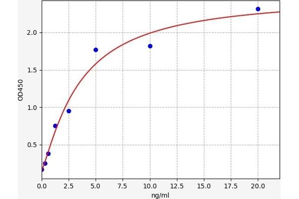 Hexokinase 2 ELISA 试剂盒