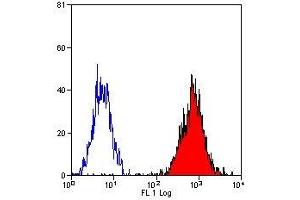 Flow Cytometry (FACS) image for anti-HLA Class I B7 Alpha (HLA B7) antibody (PE) (ABIN2474060) (HLA B7 抗体  (PE))