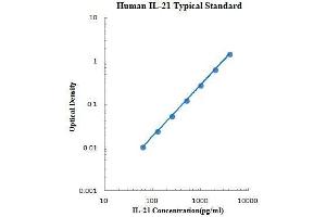 ELISA image for Interleukin 21 (IL21) ELISA Kit (ABIN2472117) (IL-21 ELISA 试剂盒)