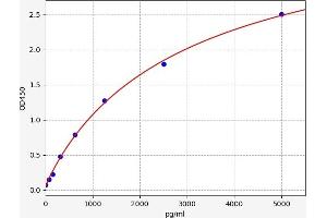 Cbl Proto-Oncogene B, E3 Ubiquitin Protein Ligase (CBLB) ELISA 试剂盒