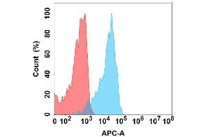 Flow cytometry analysis with Anti-SL on Expi293 cells transfected with human SL (Blue histogram) or Expi293 transfected with irrelevant protein (Red histogram). (SLAMF1 抗体)