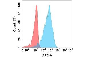 Flow cytometry analysis with Anti-CD5L on Expi293 cells transfected with human CD5L (Blue histogram) or Expi293 transfected with irrelevant protein (Red histogram). (CD5L 抗体)