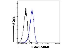 ABIN5539591 Flow cytometric analysis of paraformaldehyde fixed A431 cells (blue line), permeabilized with 0. (STIM1 抗体  (Internal Region))