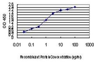 ELISA image for anti-Ubiquitin Protein Ligase E3A (ube3a) (AA 51-150) antibody (ABIN563326)