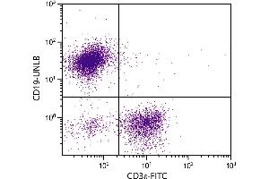 BALB/c mouse splenocytes were stained with Rat Anti-Mouse CD19-UNLB. (CD19 抗体)