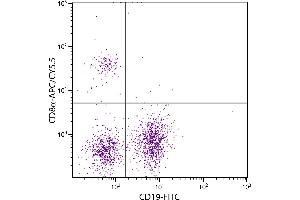 BALB/c mouse splenocytes were stained with Rat Anti-Mouse CD8α-APC/CY5. (CD8 alpha 抗体  (APC-Cy5.5))