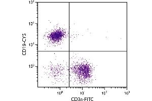 BALB/c mouse splenocytes were stained with Rat Anti-Mouse CD19-CY5. (CD19 抗体  (Cy5))