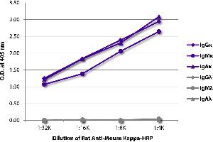 ELISA plate was coated with purified mouse IgGκ, IgMκ, IgAκ, IgGλ, IgMλ, and IgAλ. (大鼠 anti-小鼠 Ig (Chain kappa) Antibody (HRP))