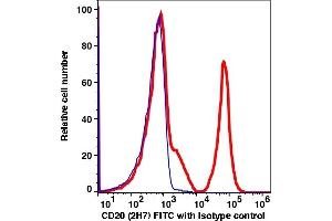 Flow Cytometry (FACS) image for anti-Membrane-Spanning 4-Domains, Subfamily A, Member 1 (MS4A1) antibody (FITC) (ABIN2704213) (CD20 抗体  (FITC))