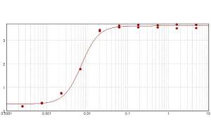 ELISA results of purified Goat F(ab')2 Anti-Rabbit IgG Antibody Peroxidase Conjugated Min X Bv Ch Gt GP Ham Hs Hu Ms Rt & Sh Serum Proteins tested against purified Rabbit IgG. (山羊 anti-兔 IgG (Heavy & Light Chain) Antibody (HRP) - Preadsorbed)