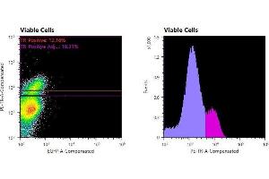 Flowcytometry of huSSECTM cell line overexpressing hFcRn-EGFP labeled with clone DVN24 primary Ab and Texas Red™ conjugated anti-mouse secondary. (FcRn 抗体)