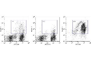 Flow Cytometry (FACS) image for Anti-Mouse CD117 Magnetic Particles (ABIN1305234) (Anti-小鼠 CD117 Magnetic Particles)