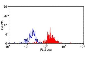 Flow Cytometry (FACS) image for anti-Signal-Regulatory Protein alpha (SIRPA) antibody (ABIN2478785) (SIRPA 抗体)