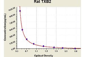 Diagramm of the ELISA kit to detect Rat TXB2with the optical density on the x-axis and the concentration on the y-axis. (Thromboxane B2 ELISA 试剂盒)