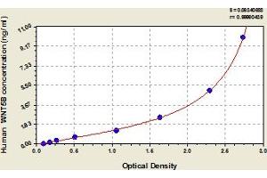 WNT5B ELISA 试剂盒