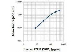 ELISA image for anti-Chemokine (C-C Motif) Ligand 17 (CCL17) antibody (ABIN2664095) (CCL17 抗体)