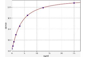 Typical standard curve (IGFBP3 ELISA 试剂盒)