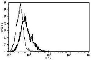 A typical staining pattern with the B-B29 monoclonal antibody of CD40L transfected 3T6 cell line (CD40 Ligand 抗体)