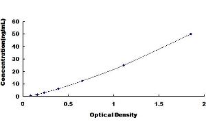 Typical Standard Curve for Rat F1 ELISA. (F6 ELISA 试剂盒)