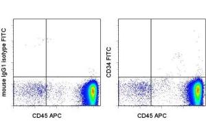 Image no. 1 for anti-CD34 (CD34) antibody (FITC) (ABIN474253) (CD34 抗体  (FITC))