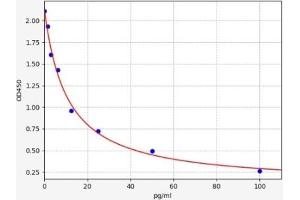 Endothelin 3 ELISA 试剂盒