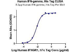 ELISA image for Interferon gamma (IFNG) protein (His-Avi Tag) (ABIN7274847)