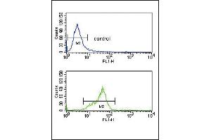 Flow cytometry analysis of K562 cells (bottom histogram) compared to a negative control cell (top histogram). (GNAO1 抗体  (C-Term))