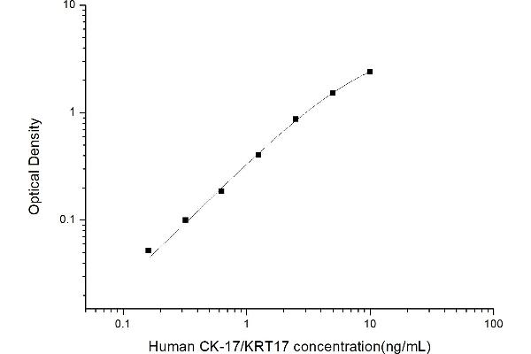 KRT17 ELISA 试剂盒