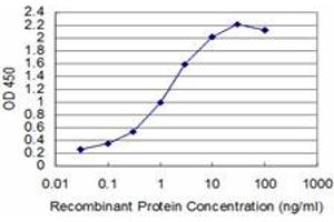 Detection limit for recombinant GST tagged T is approximately 0. (T Brachyury Protein (AA 222-320) 抗体)